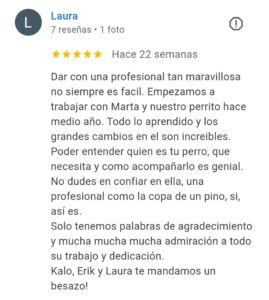 Reseña Ohana Educación Canina