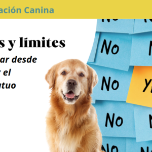 Taller Normas y Límites